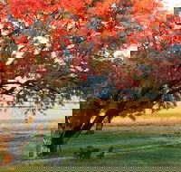 Little Kickabell Country Homestead - Kawana Tourism