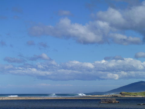 Scamander On The Beach - Kawana Tourism 1