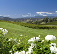 Balgownie Estate Vineyard Resort and Spa - Kawana Tourism