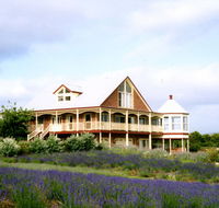 Serendipity Lavender Farm - Kawana Tourism