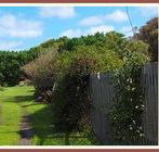 Orchard Cottage - Kawana Tourism