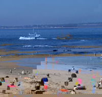QueenscliffeTourist Park - Kawana Tourism