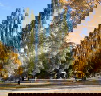 Omeo Caravan Park - Kawana Tourism