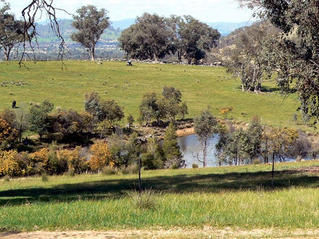 Gaddleen Grove Cottages - Kawana Tourism 3