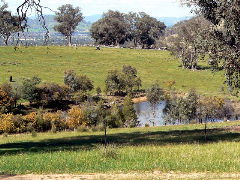 Gaddleen Grove Cottages - Kawana Tourism 5