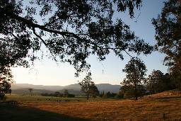 Cann River Rainforest Caravan Park - Kawana Tourism 0