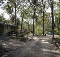 Lakes Bushland Caravan Park - Kawana Tourism