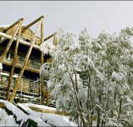Silverski - Kawana Tourism