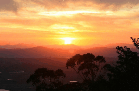 Avocado Sunset - Kawana Tourism