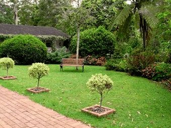 Tall Trees Motel - Kawana Tourism 2