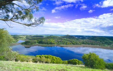 Killara Accommodation - Kawana Tourism 6