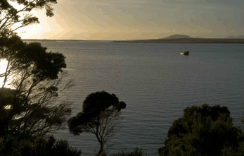 Echo Hills - Kawana Tourism 4