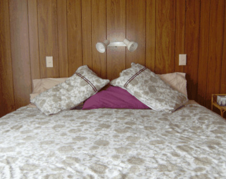 Lady Barron Holiday House - Kawana Tourism 2