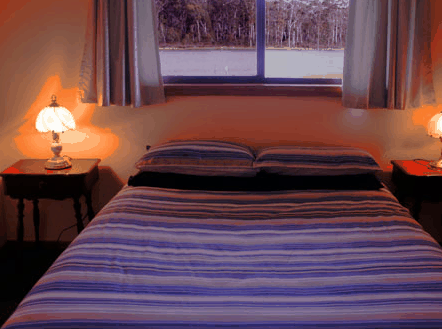 Lake Yalleena Cabins - Kawana Tourism