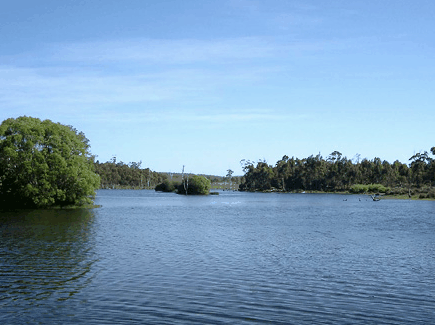 Currawong Lakes - Kawana Tourism
