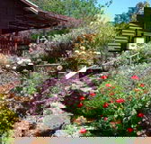 Chestnut Brook Cottage - Kawana Tourism
