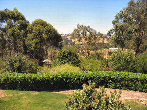 Ascot Holiday House - Kawana Tourism 2