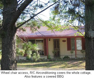 Glen Eden Cottages - Kawana Tourism 1