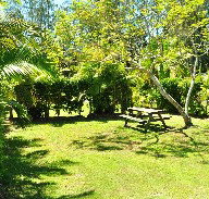 Wooli Caravan Park - Kawana Tourism