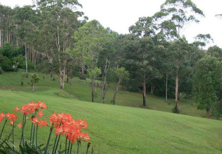 Woodridge Park Country Retreat - Kawana Tourism 3