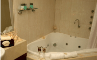 Club Motor Inn - Kawana Tourism 1
