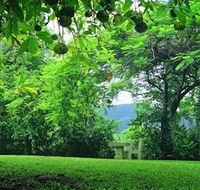 Misty Mountain Retreat - Kawana Tourism