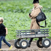 Perth City Farm Organic Markets - Kawana Tourism