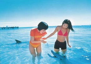 Kookaburra Air - Kawana Tourism 0