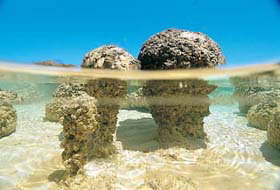 Kookaburra Air - Kawana Tourism 2