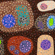 Turner Galleries - Kawana Tourism