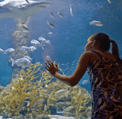 Alkimos WA Kawana Tourism