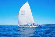 Manly Harbour Village - Kawana Tourism