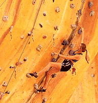 Rocksports Indoor Climbing - Kawana Tourism