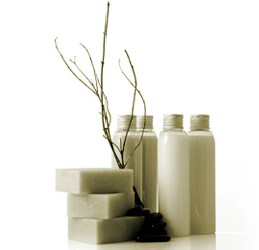 Oasis Day Spa - Kawana Tourism 0