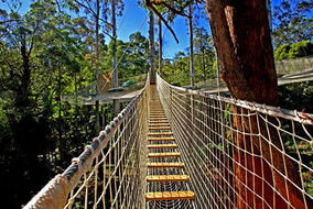 Book North Tamborine QLD Attractions Kawana Tourism Kawana Tourism