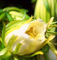 Tropical Fruit World - Kawana Tourism 2