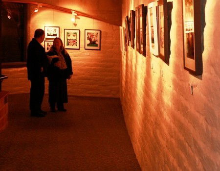 Eltham Library Community Gallery - Kawana Tourism 1