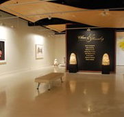 Counihan Gallery In Brunswick - Kawana Tourism
