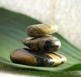 The Nature of Balance - Kawana Tourism