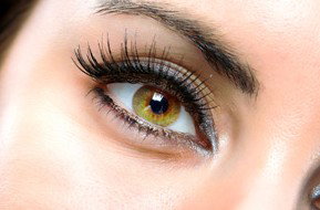 Beauty On Ryrie - Kawana Tourism 1