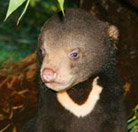 Perth Zoo - Kawana Tourism