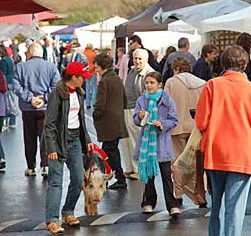 Nunawading VIC Kawana Tourism