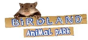 Birdland Animal Park - Kawana Tourism