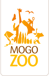 Mogo Zoo - Kawana Tourism