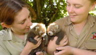 Mogo Zoo - Kawana Tourism 3