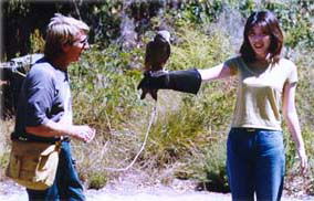 Eagles Heritage - Kawana Tourism 2