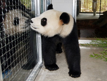 Adelaide Zoo - Kawana Tourism 3