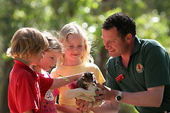 Southern Adelaide SA Kawana Tourism