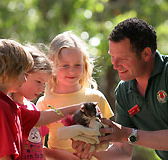 Cleland Wildlife Park - Kawana Tourism