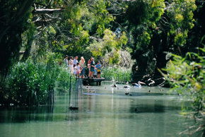 Cleland Wildlife Park - Kawana Tourism 1